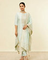 Light Blue Bel Buti Patterned Straight Suit
